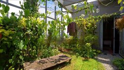 The Trizon (D10), Condominium #460025361